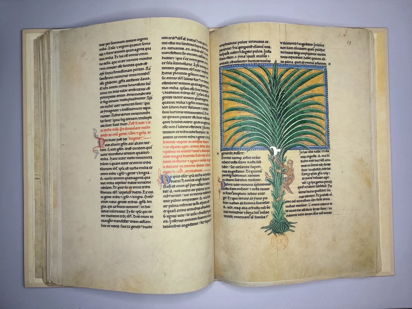 Imagen del facsímil del Beato del Monasterio de San Andrés de Arroyo: "La palmera de los justos", Editorial Moleiro