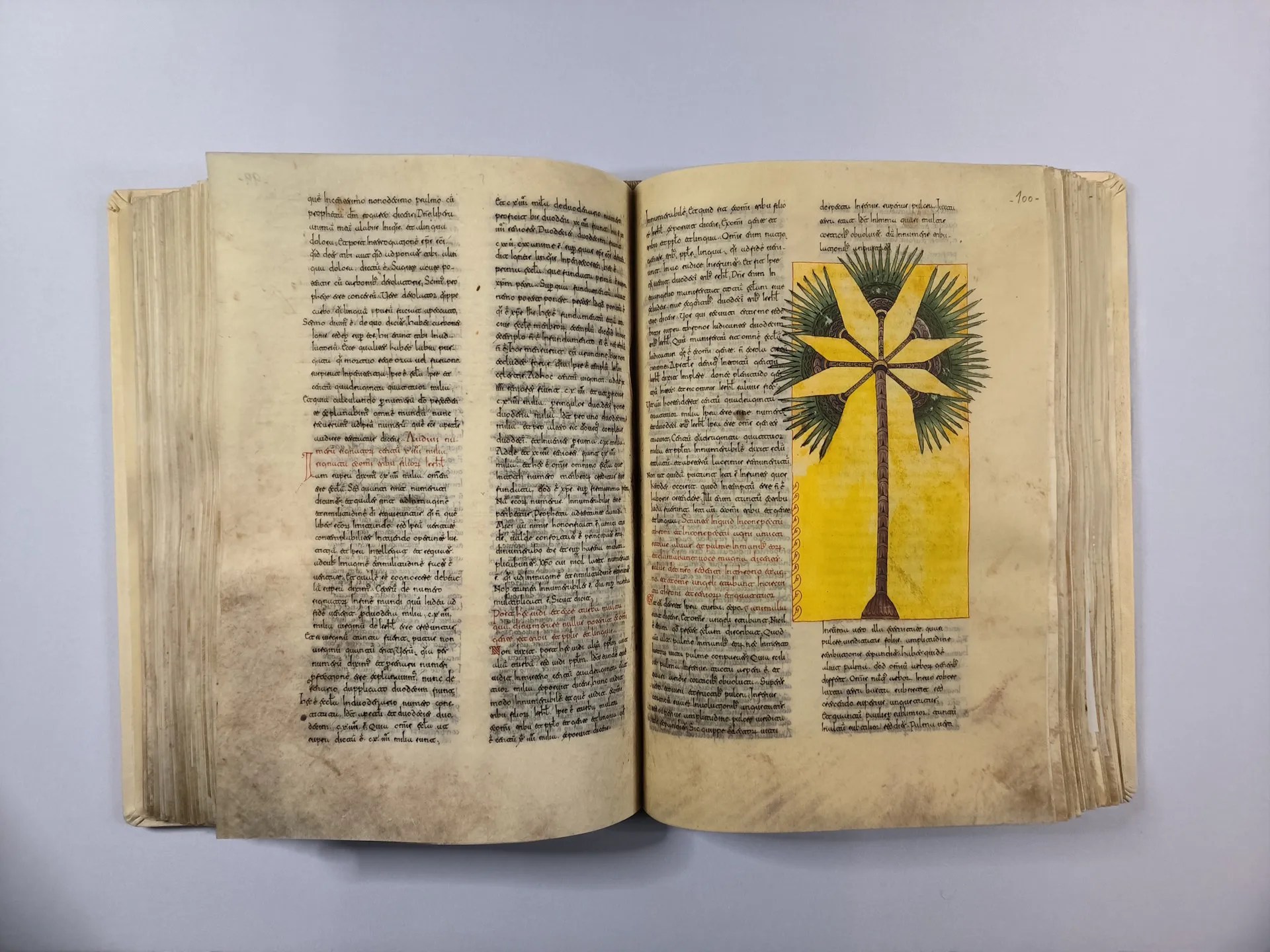 Imagen del facsímil del Beato de Burgo de Osma: La palmera, Editorial Scriptorium