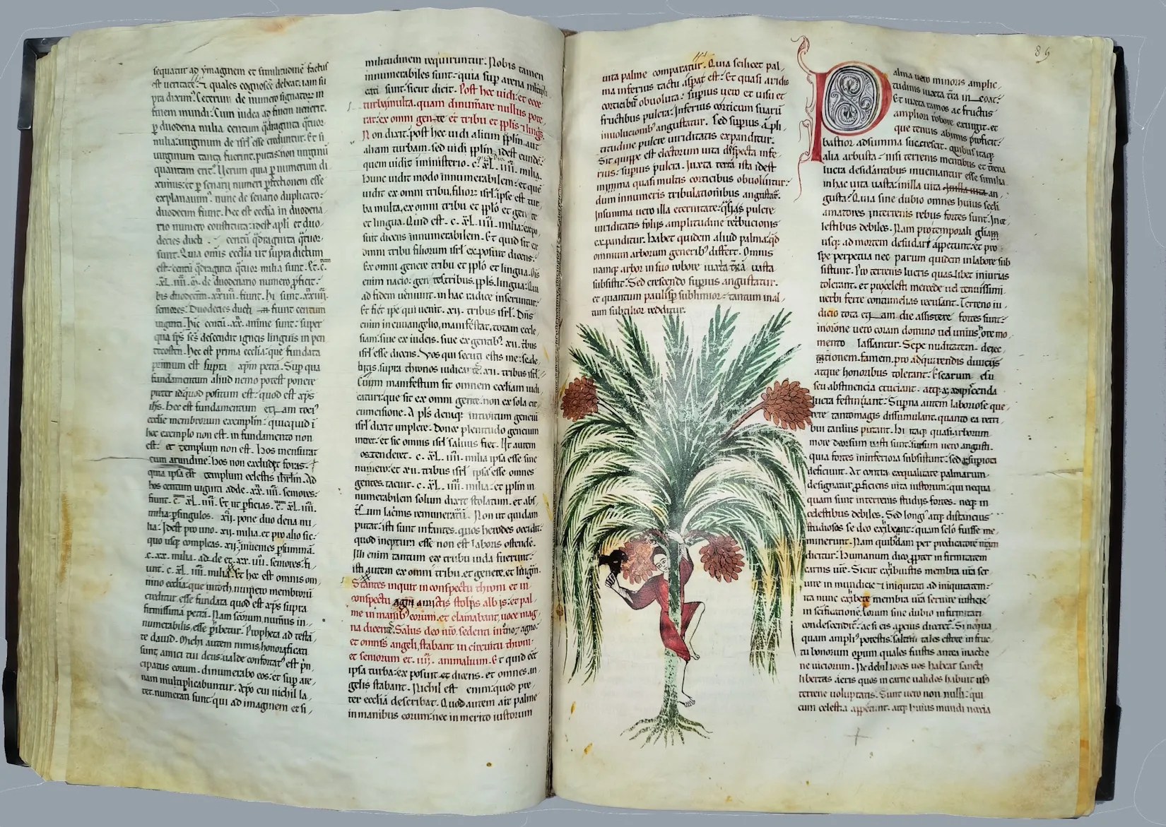 Imagen del facsímil del Beato del Monasterio de Santa María la Real de las Huelgas de Burgos: "La Palmera", Editorial Scriptorium
