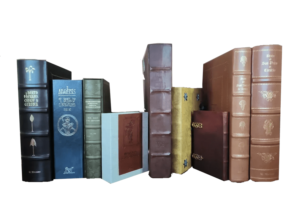 Fotografía donde se pueden ver los lomos y las cubiertas de 9 beatos