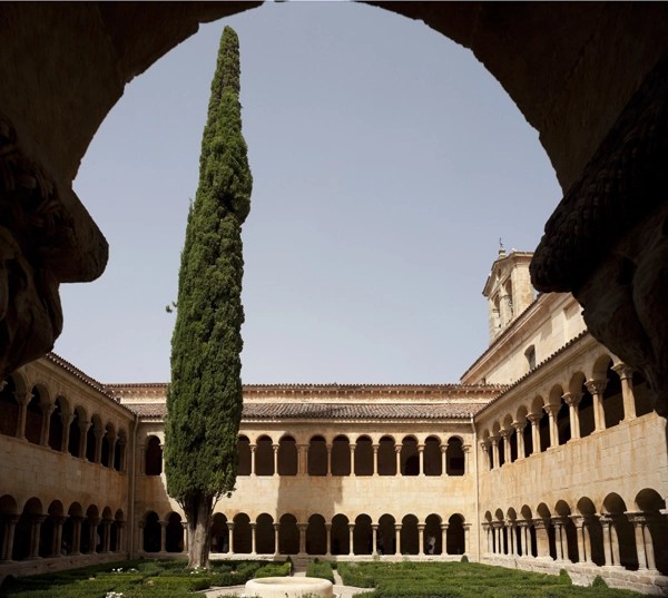 Vista del ciprés desde el claustro bajo del Monasterio de Santo Domingo de Silos