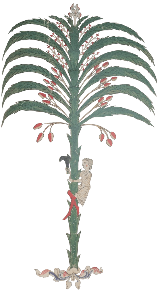 Imagen del facsímil del Beato del Monasterio de San Pedro de Cardeña: "La metáfora de la Palmera", Editorial Moleiro