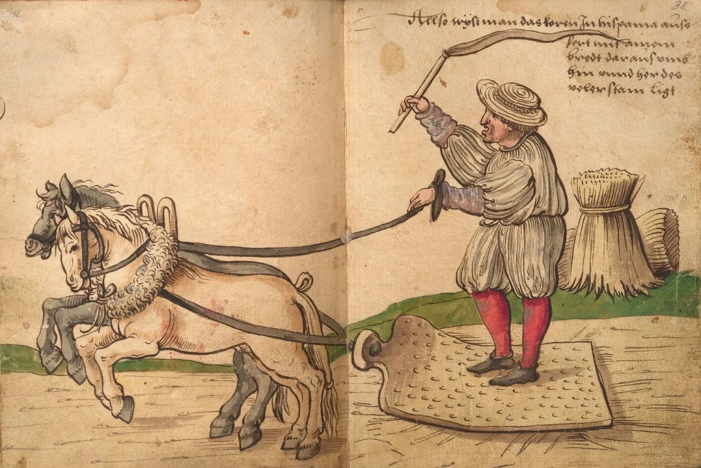 Cómo se trilla el grano en España, folios 37-38 del Das Trachtenbuch de Weiditz