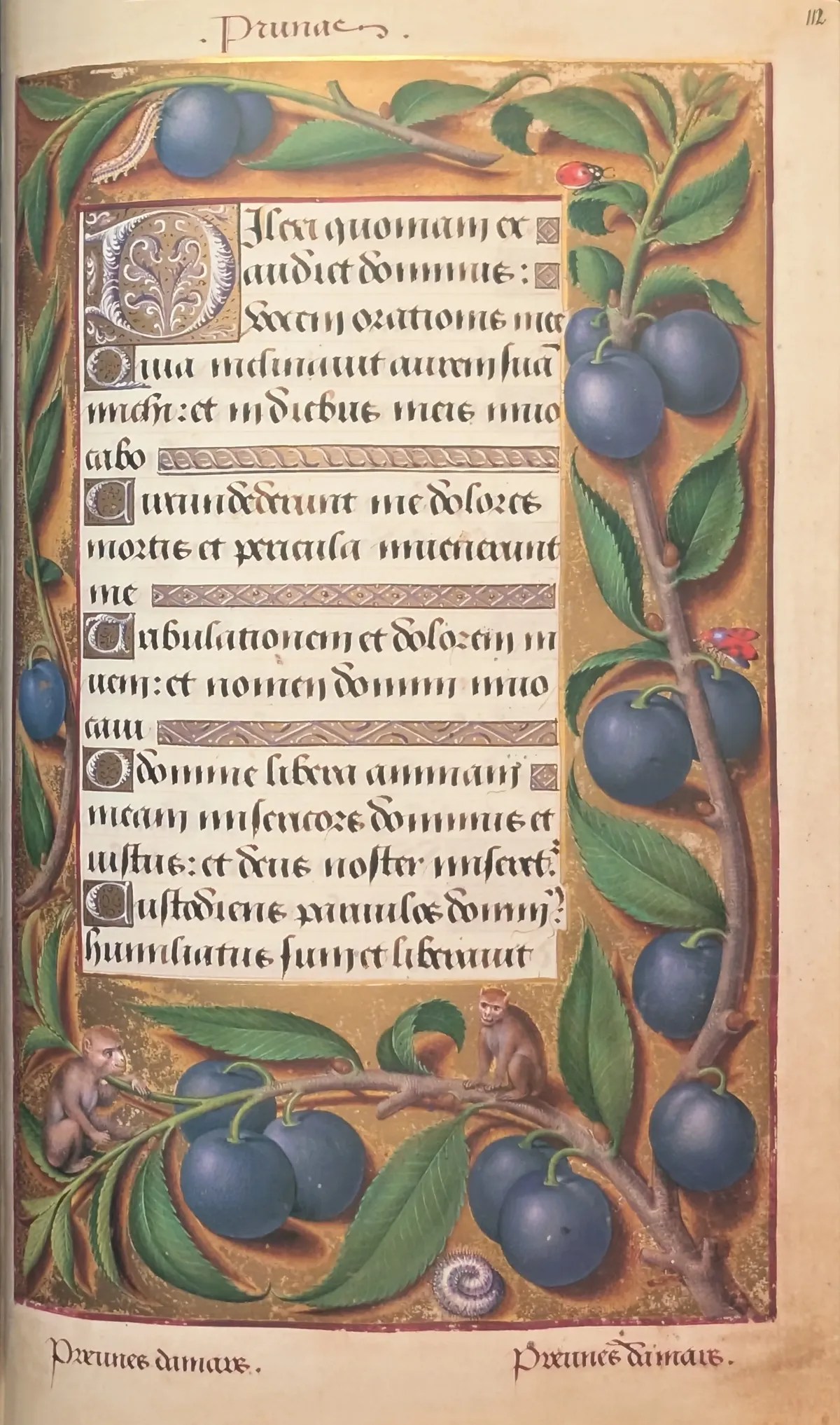 Grandes Horas de Ana de Bretaña, Editorial Moleiro, folio 112r Inicio de vísperas del oficio de difuntos