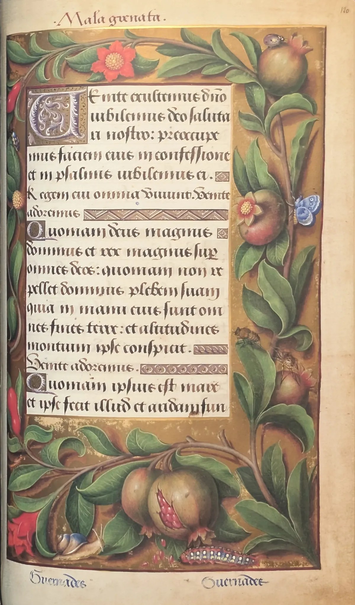 Grandes Horas de Ana de Bretaña, Editorial Moleiro, folio 120r Inicio de maitines del oficio de difuntos