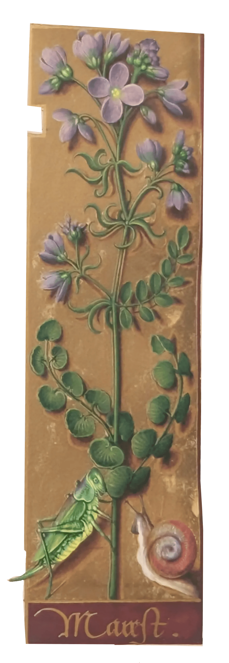 Grandes Horas de Ana de Bretaña, Editorial Moleiro, folio 158r berro de prado