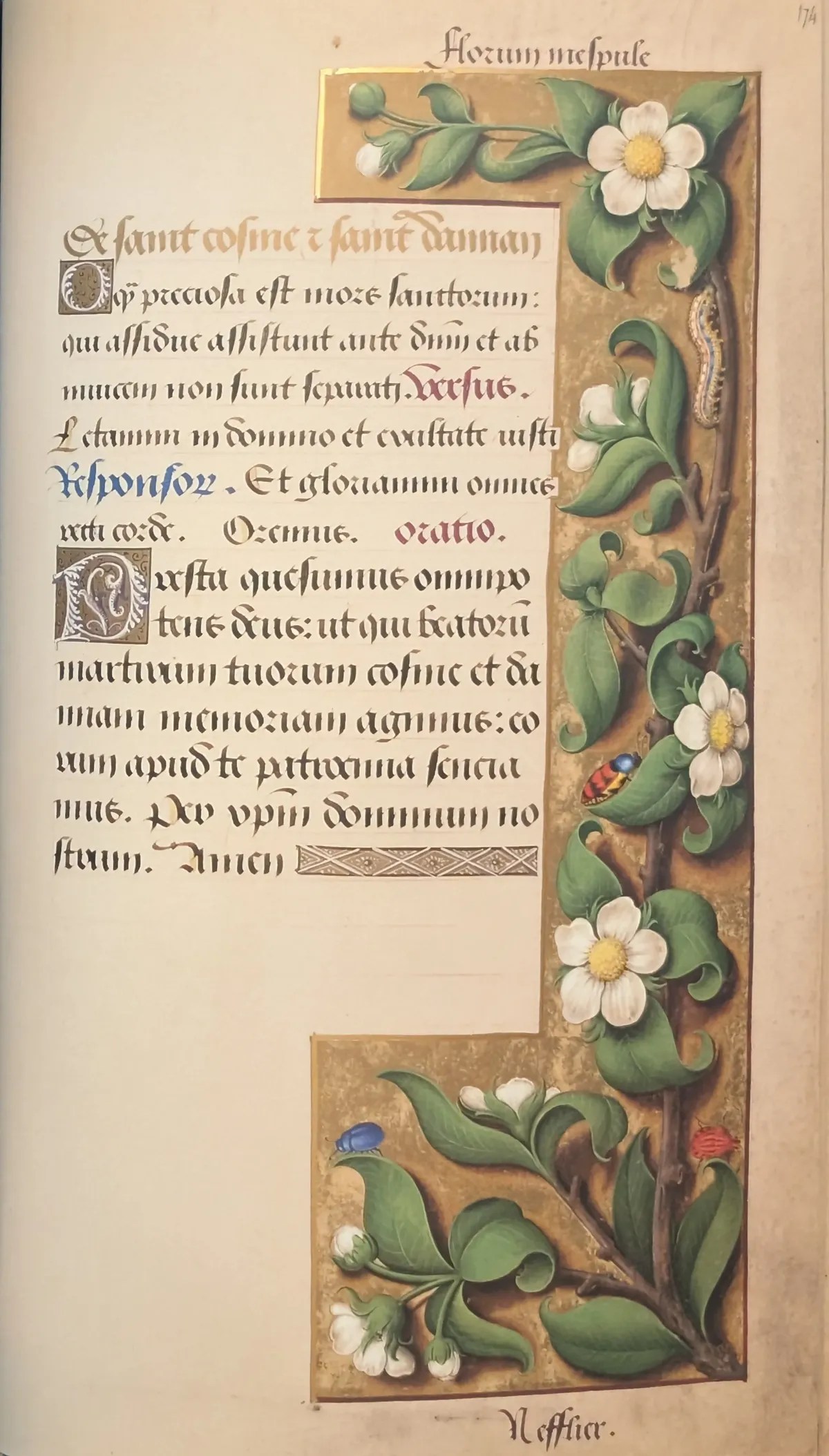 Grandes Horas de Ana de Bretaña, Editorial Moleiro, folio 174r Sufragio de san Cosme y san Damián