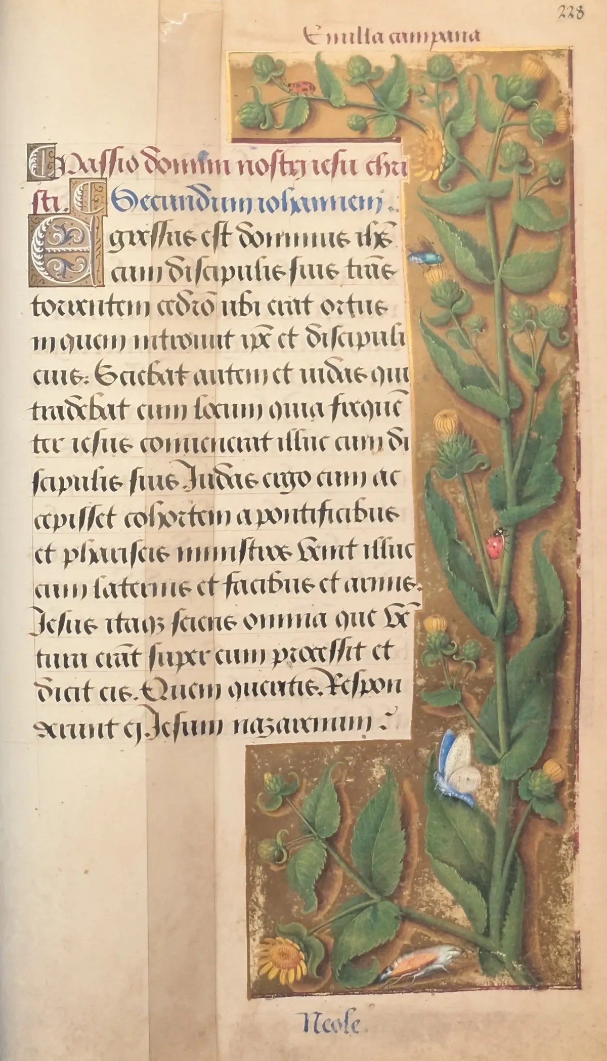 Grandes Horas de Ana de Bretaña, Editorial Moleiro, folio 228r Inicio de la Pasión de Nuestro Señor Jesucristo según san Juan