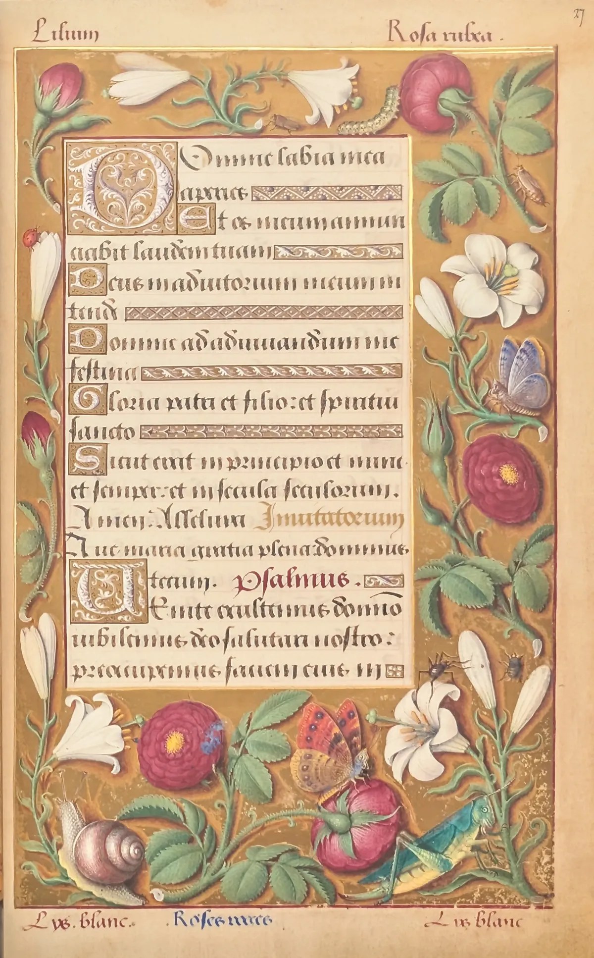 Grandes Horas de Ana de Bretaña, Editorial Moleiro, folio 27r Inicio de maitines del pequeño oficio de la Virgen