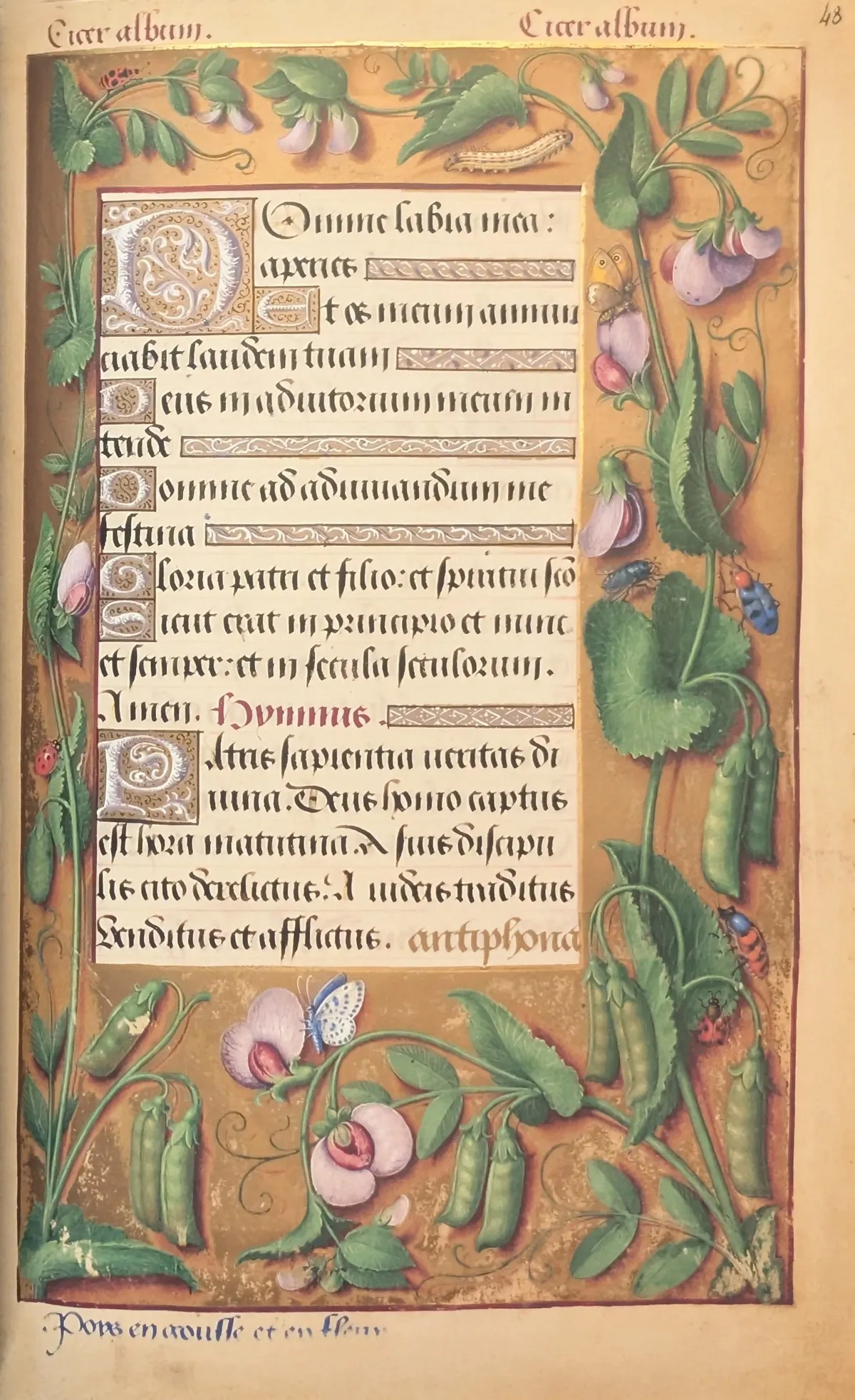 Grandes Horas de Ana de Bretaña, Editorial Moleiro, folio 48r Inicio de las horas de la cruz