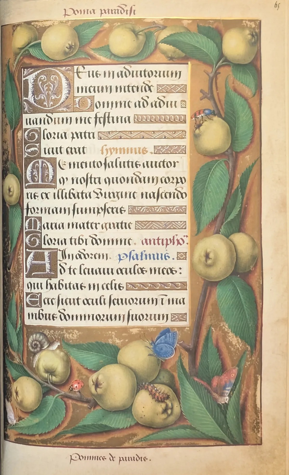 Grandes Horas de Ana de Bretaña, Editorial Moleiro, folio 65r Inicio de sexta del pequeño oficio de la Virgen
