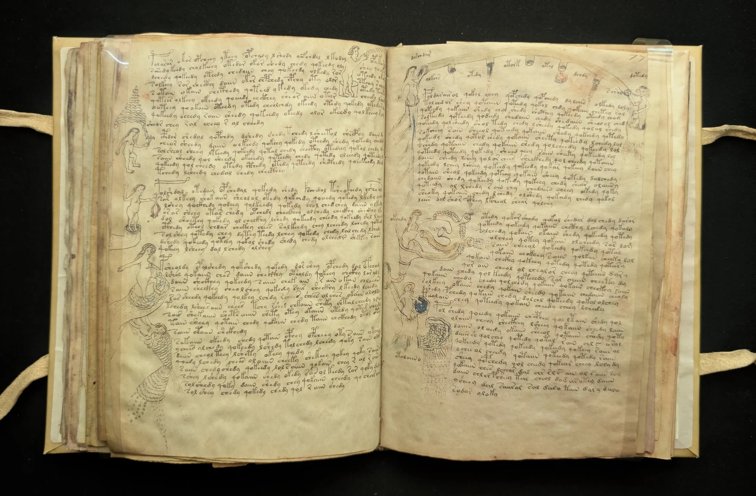 Folios 76-77, sección: biológica