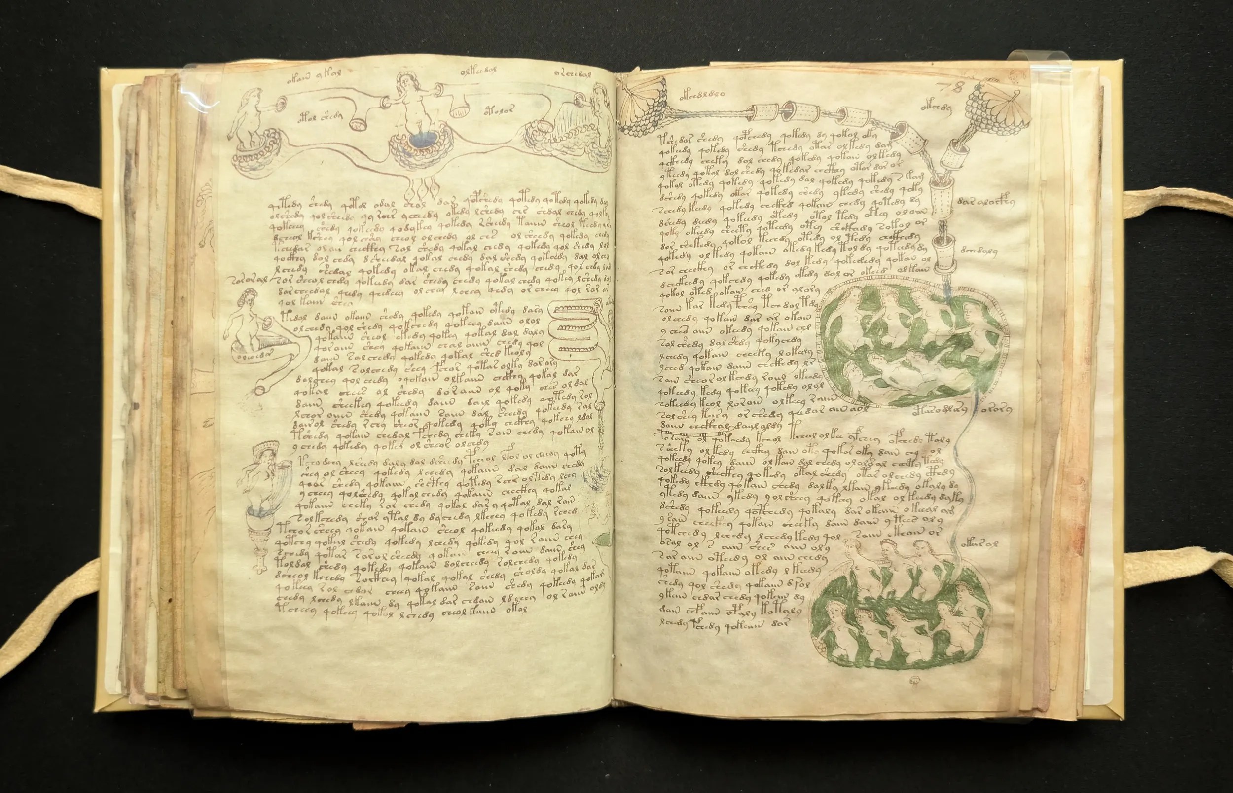 Folios 77-78, sección: biológica