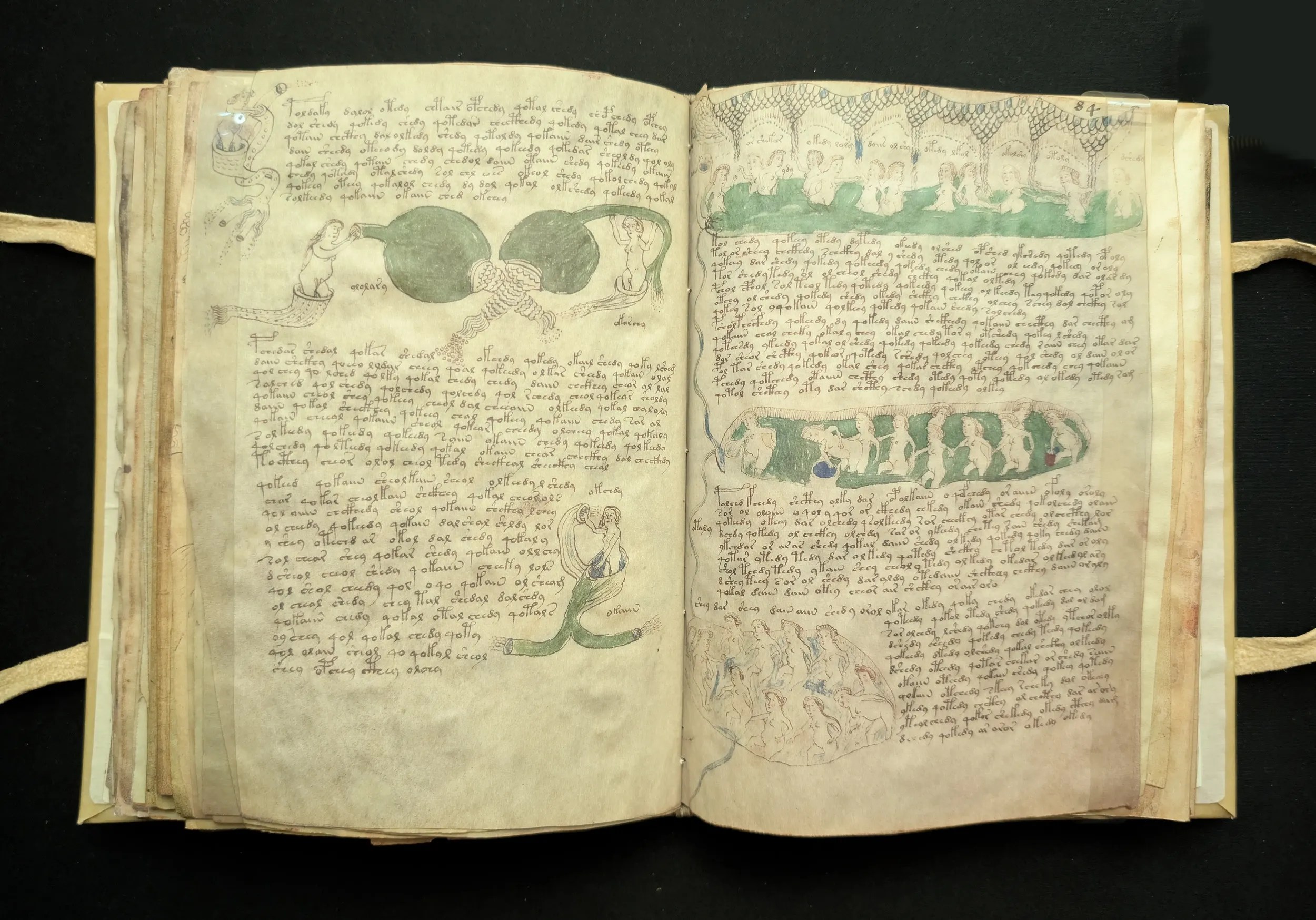 Folios 83-84, sección: biológica