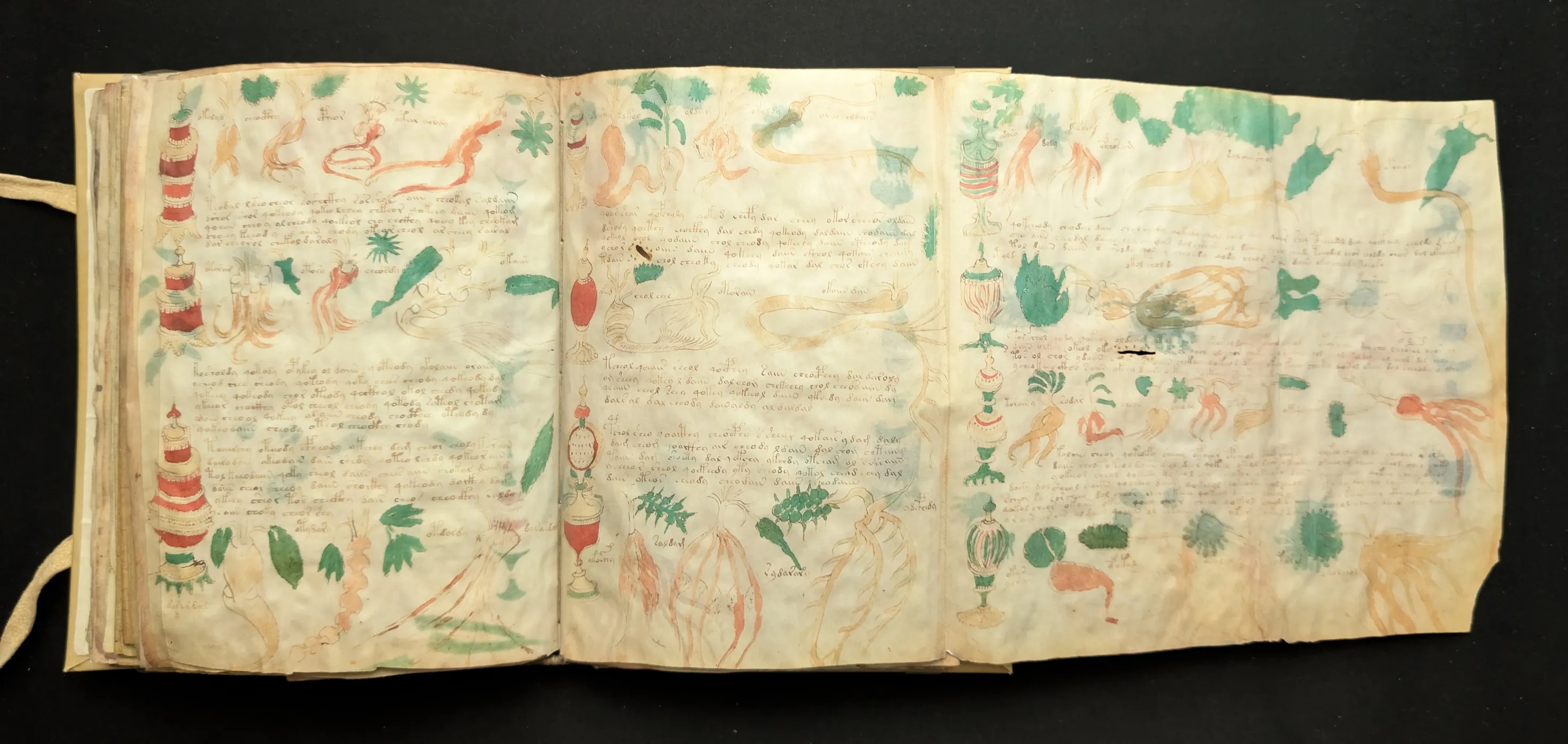 Folios 88-89, imagen extendida, sección: farmacéutica