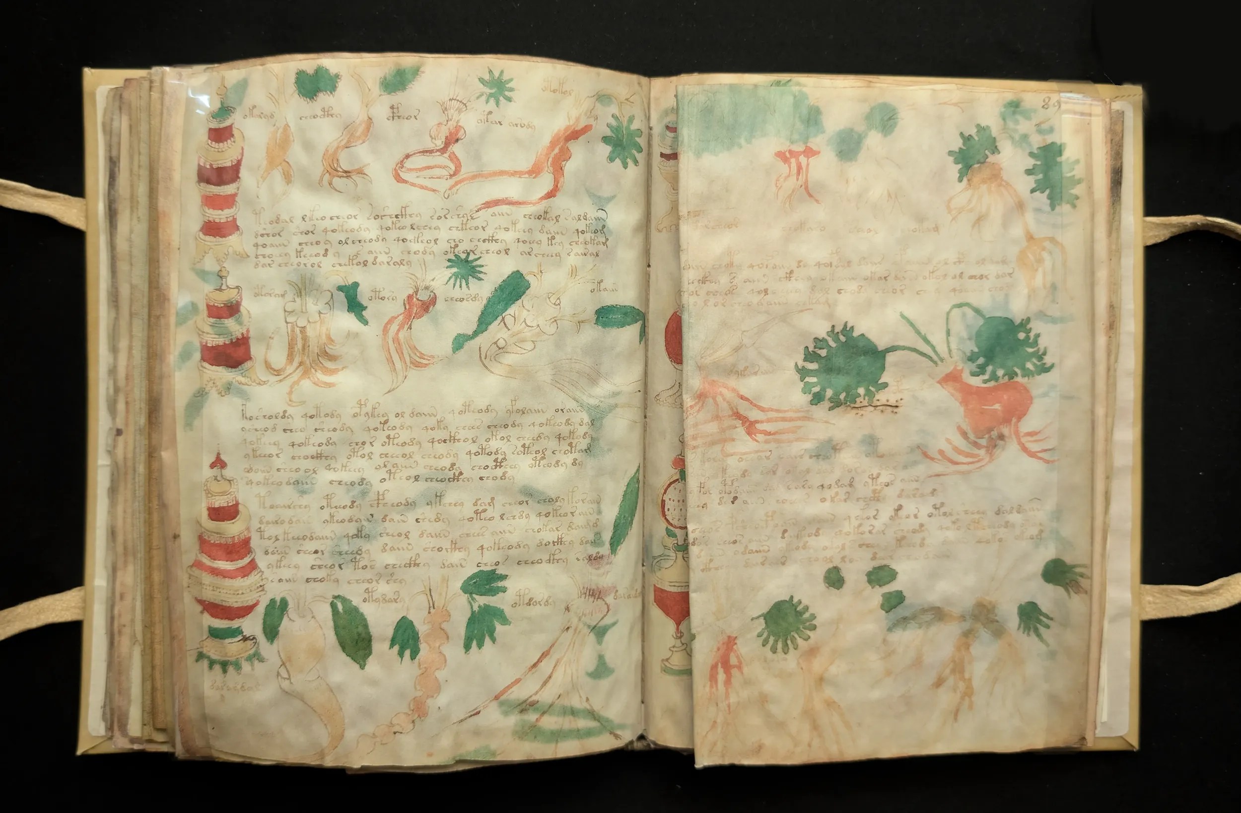 Folios 88-89, sección: farmacéutica