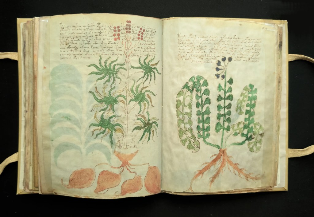 Folios 93-94, sección: herbario