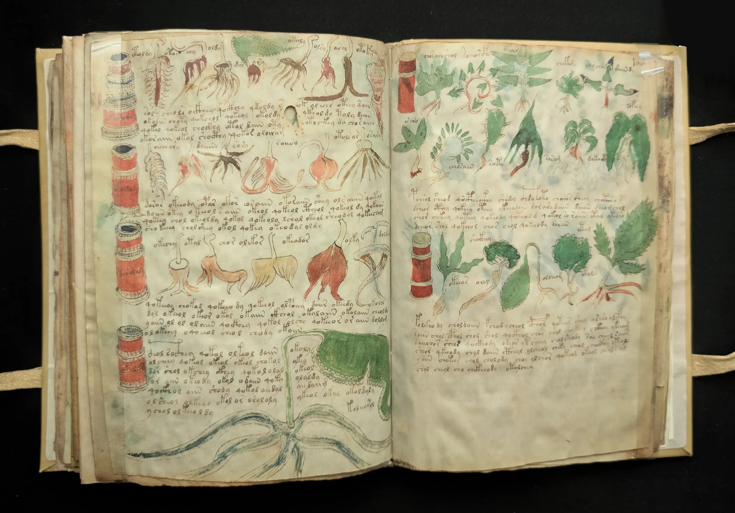 Folios 99-100, sección: farmacéutica