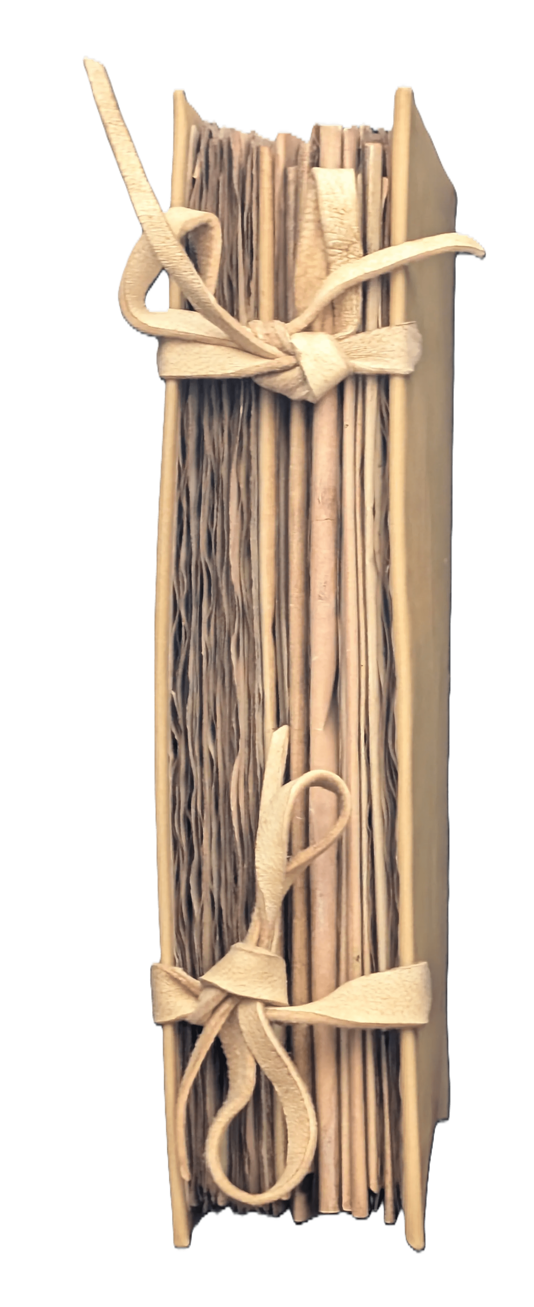 Imagen del canto del facsímil del Voynich