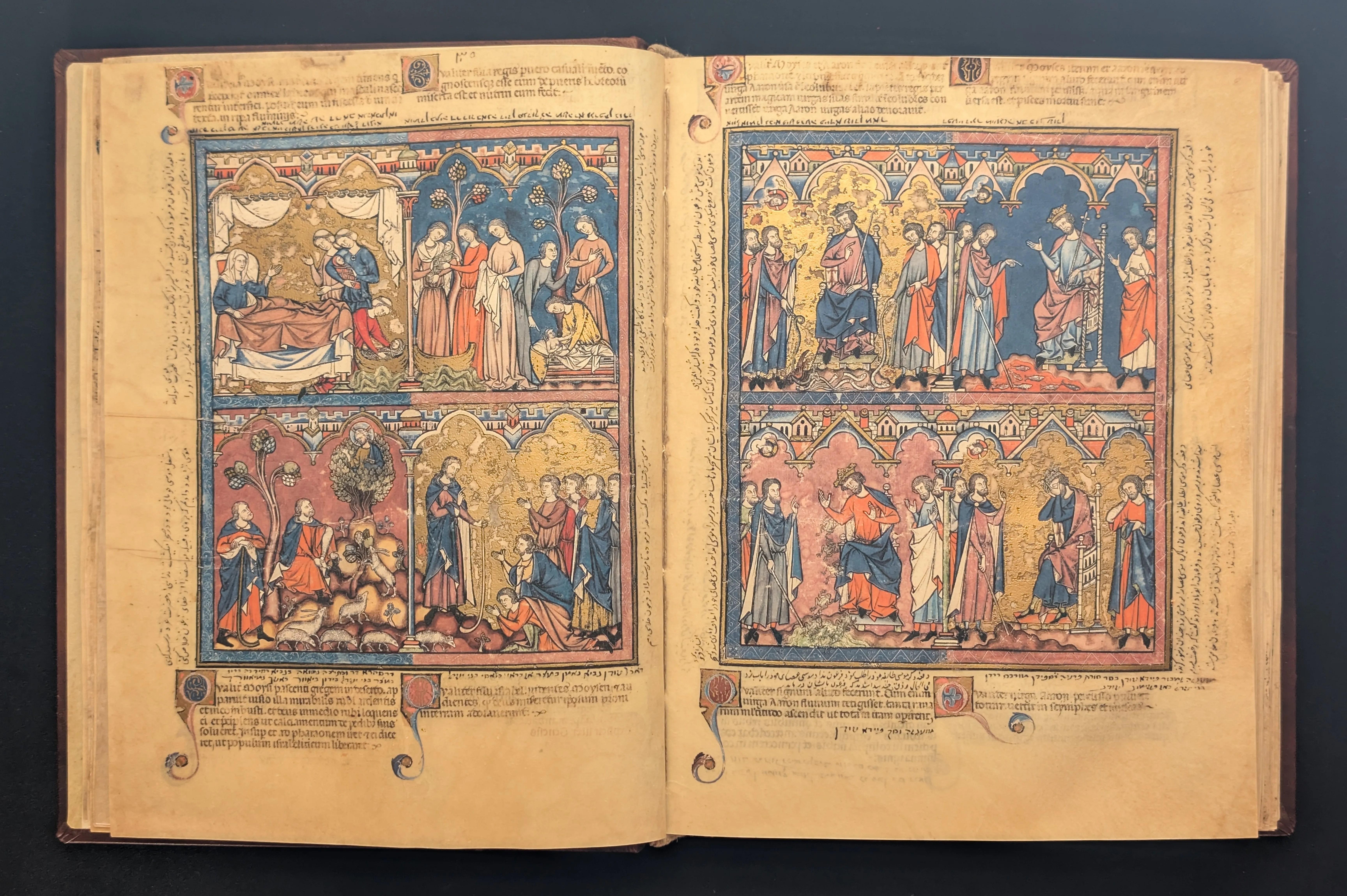 Folio 7v - Comienzo de la historia de Moisés, Folio 8r - Las plagas de Egipto (5-10)