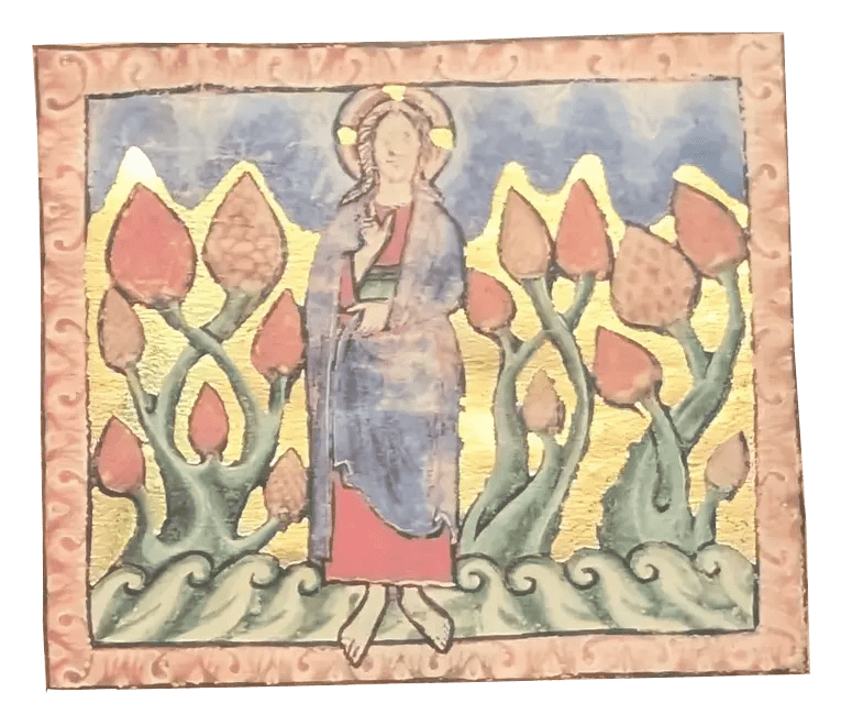 Miniatura de la Creación del cielo y la tierra