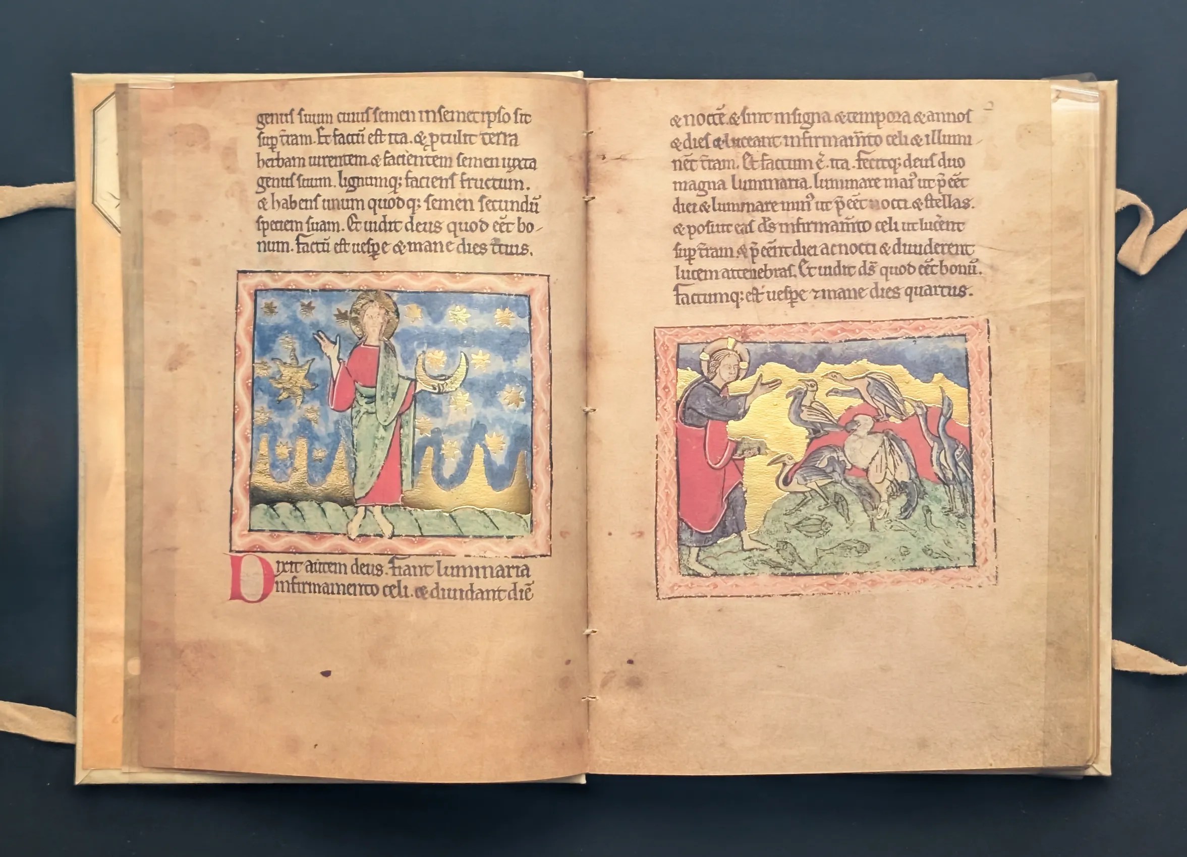 Folio 1v Creación del firmamento, folio 2r Creación de los peces y los pájaros