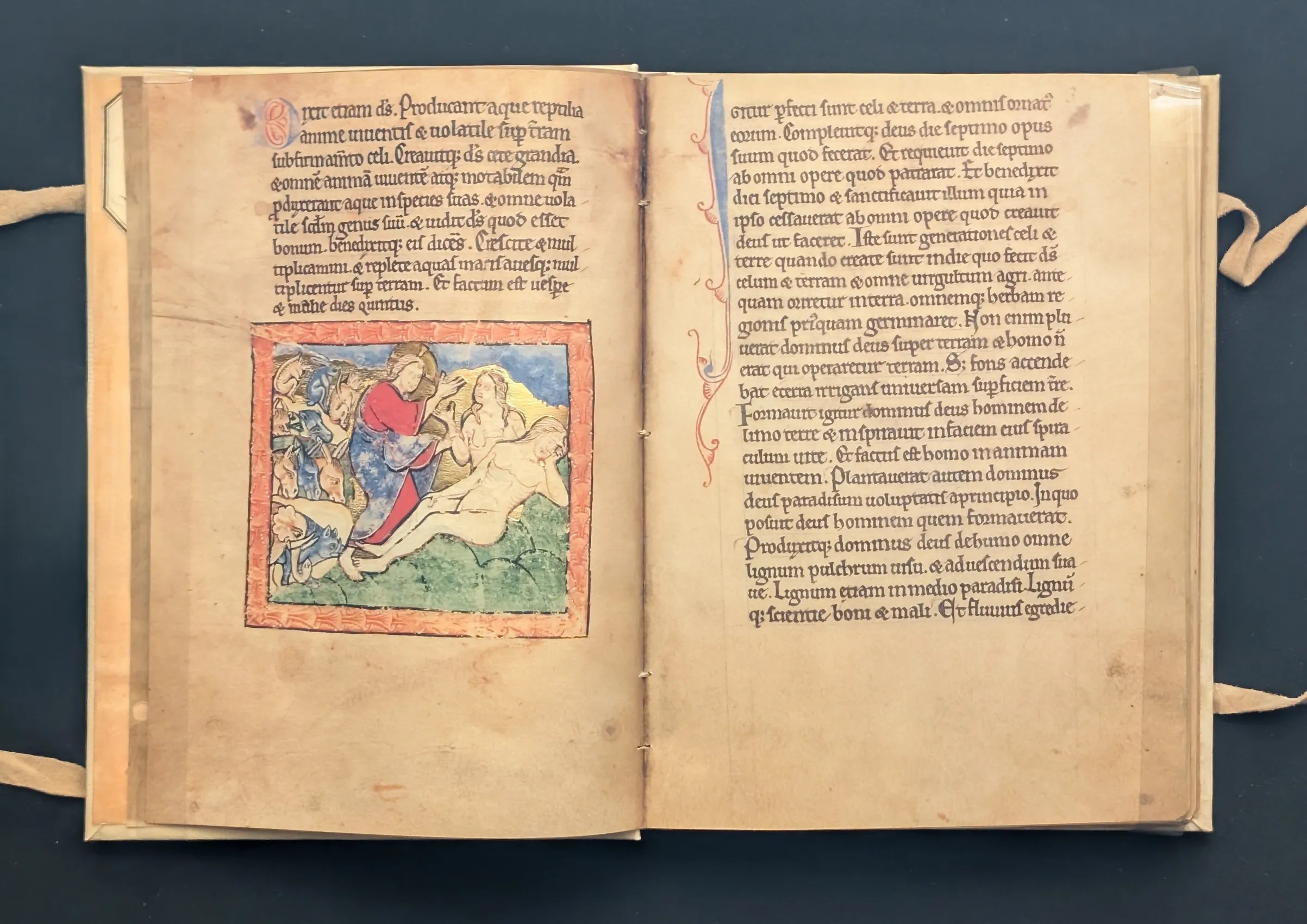 Folio 2v Creación de Eva