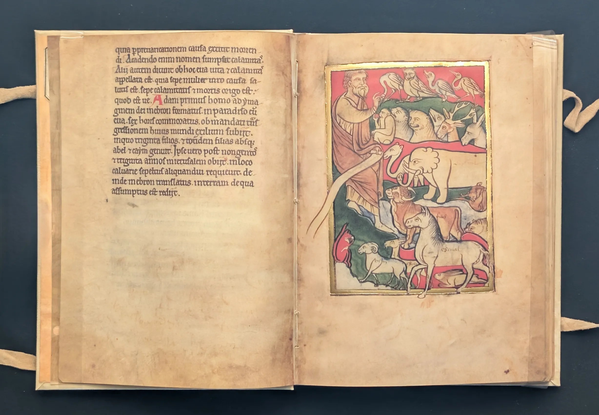 Folio 5r Adán dando nombre a los animales