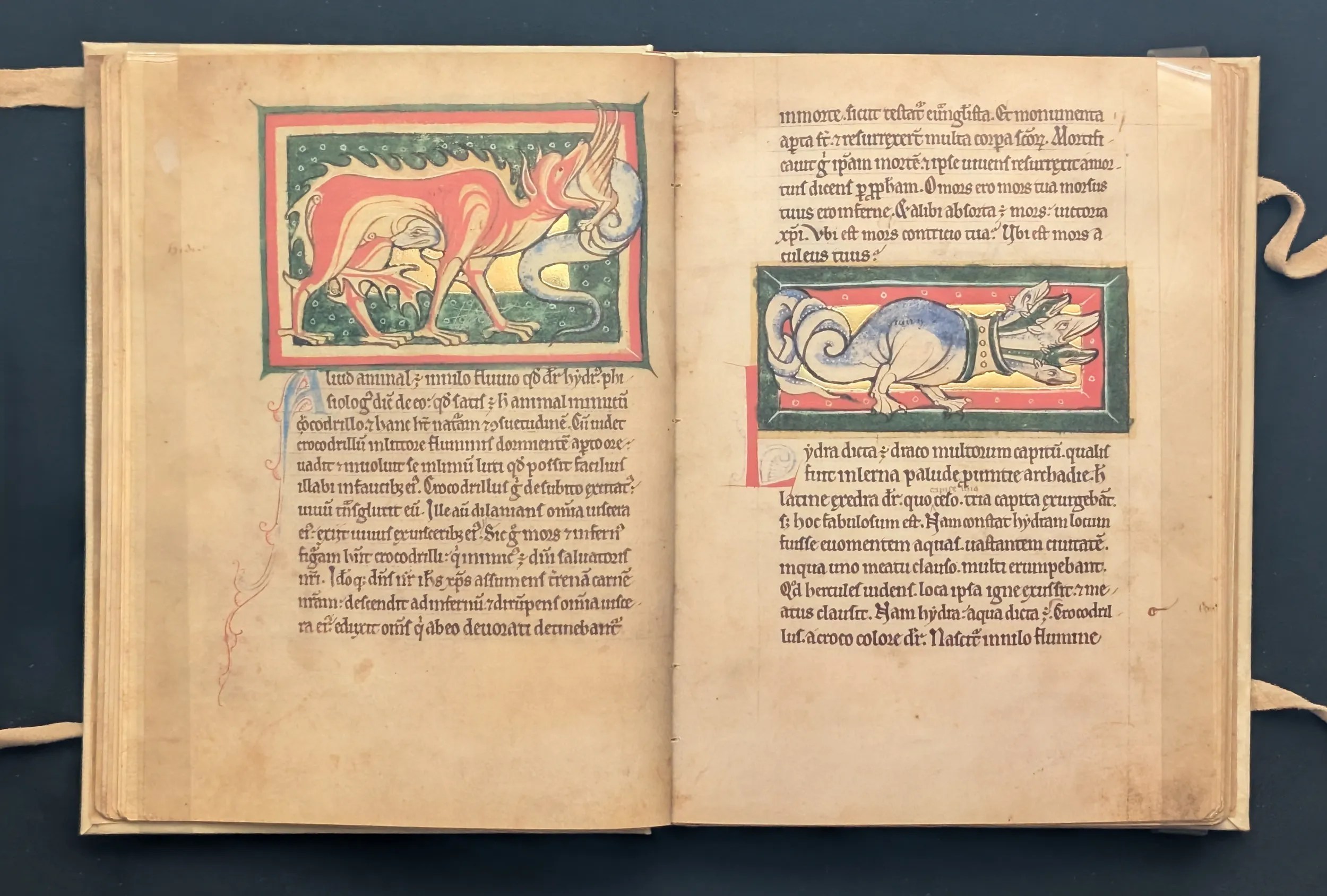 Folio 16v Hidra, folio 17r Hidra de Lerna