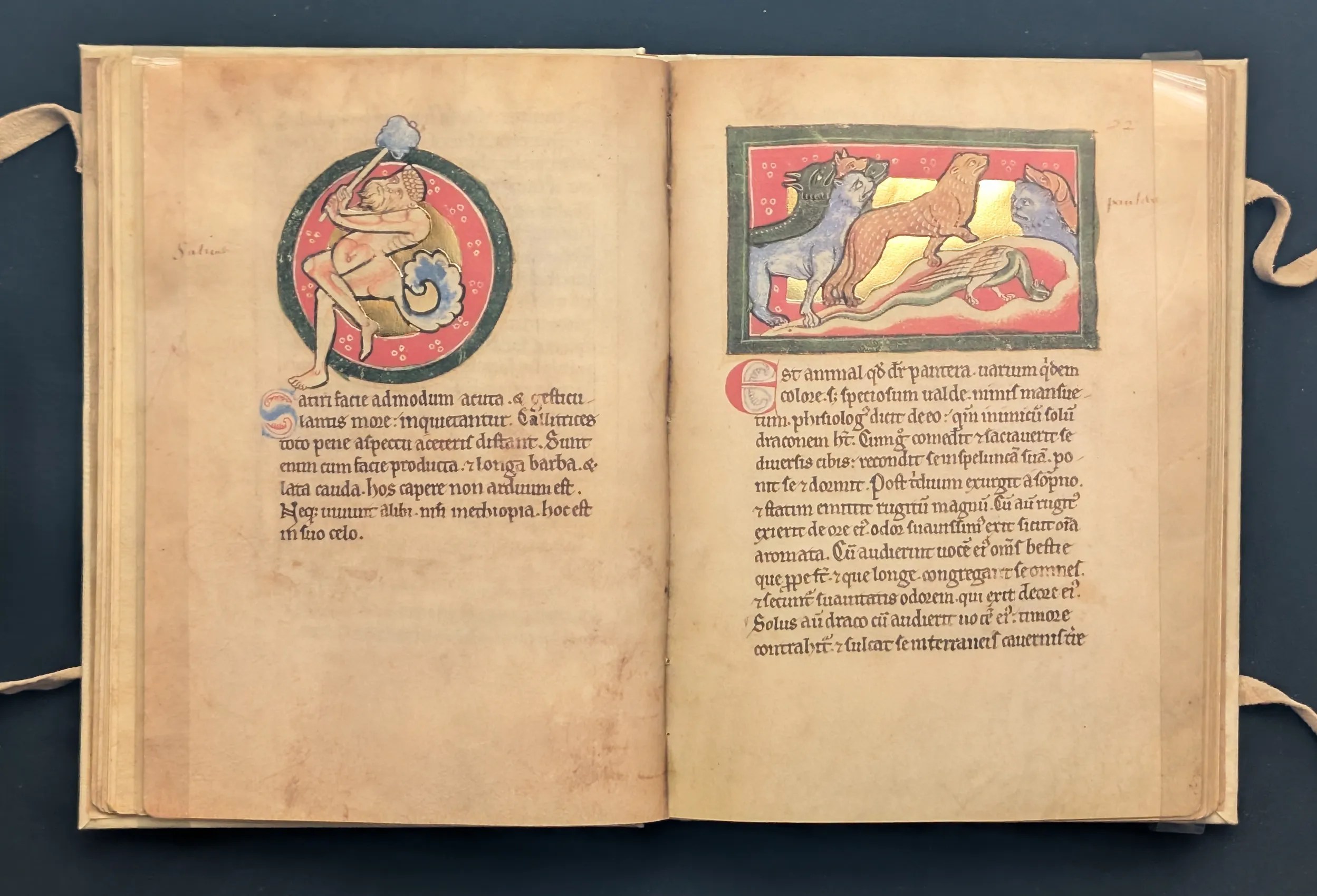 Folio 21v Sátiro y calitrix, folio 22r Pantera