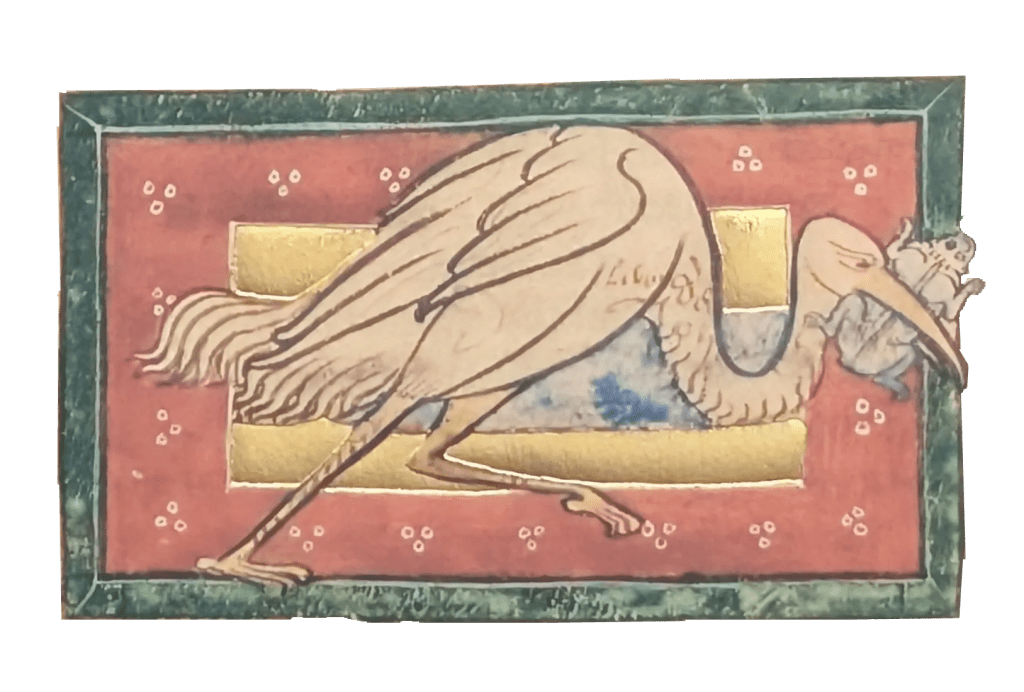 Miniatura de la Cigüeña