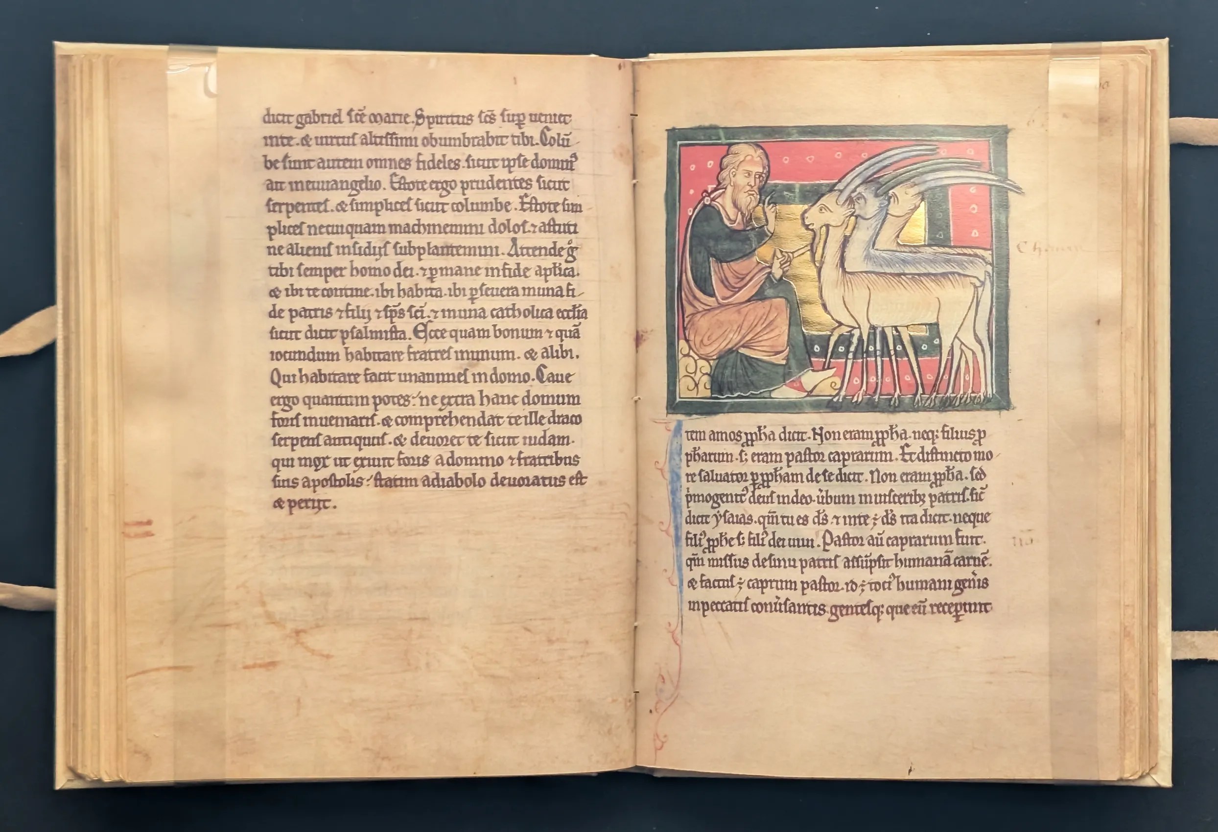 Folio 69r El sicomoro (Amós, el profeta)