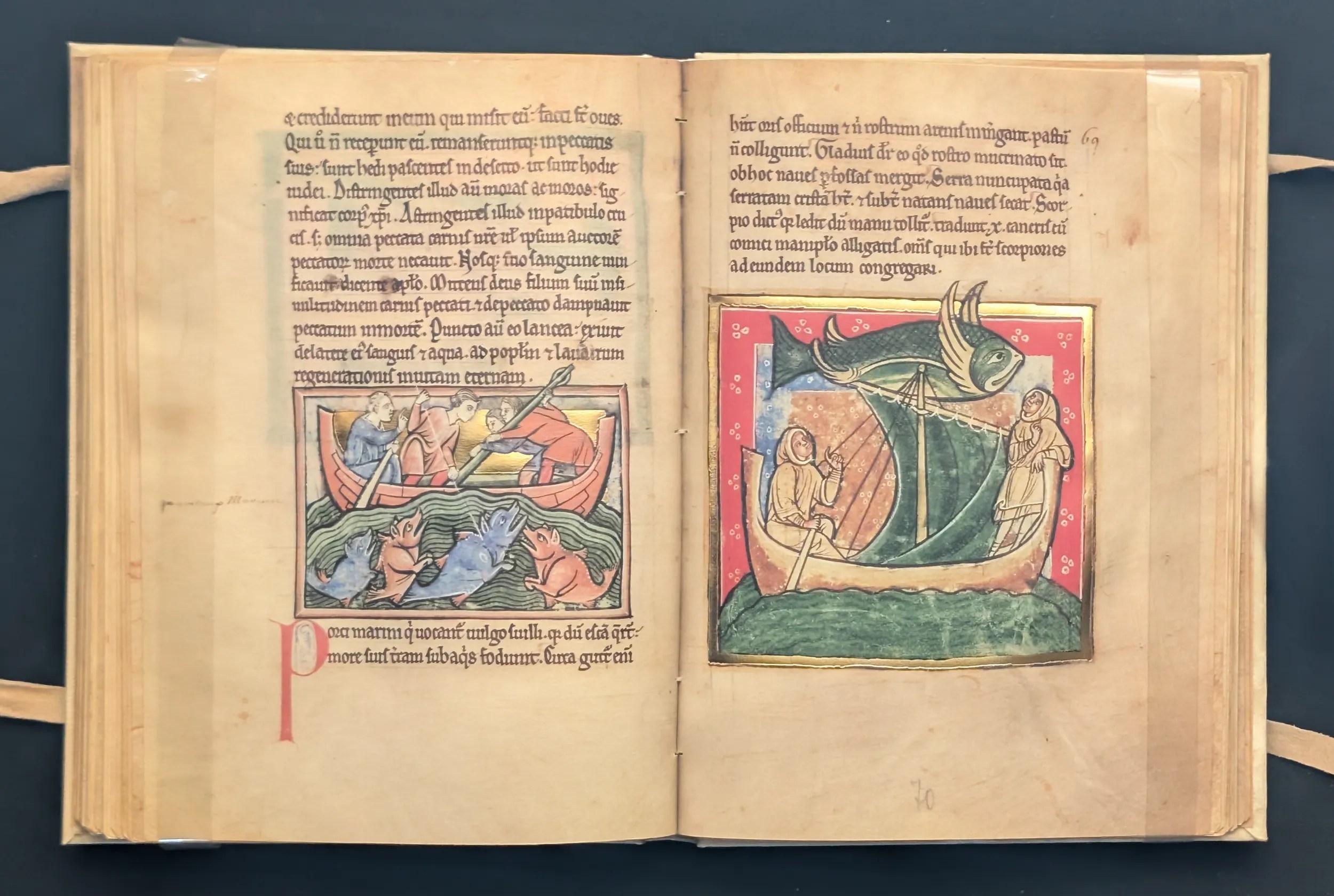 Folio 69v Cerdos marinos, folio 70r Serra