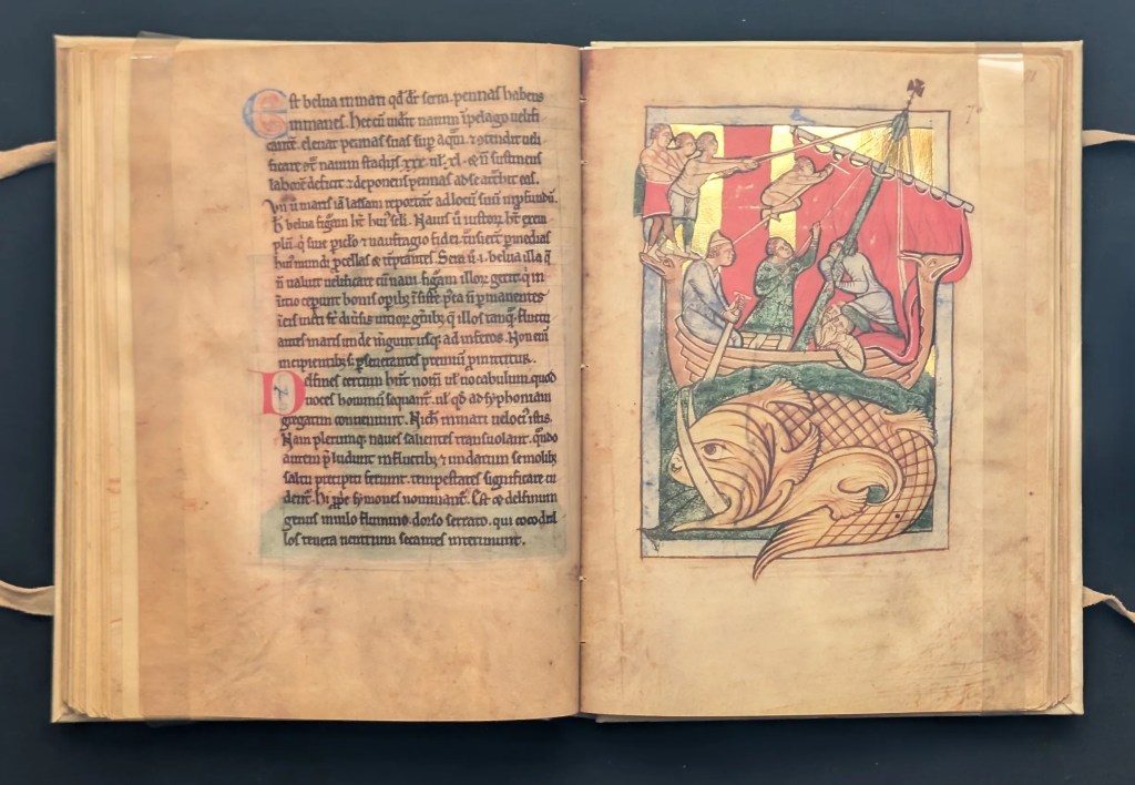 Folio 71r Aspidoquelonio