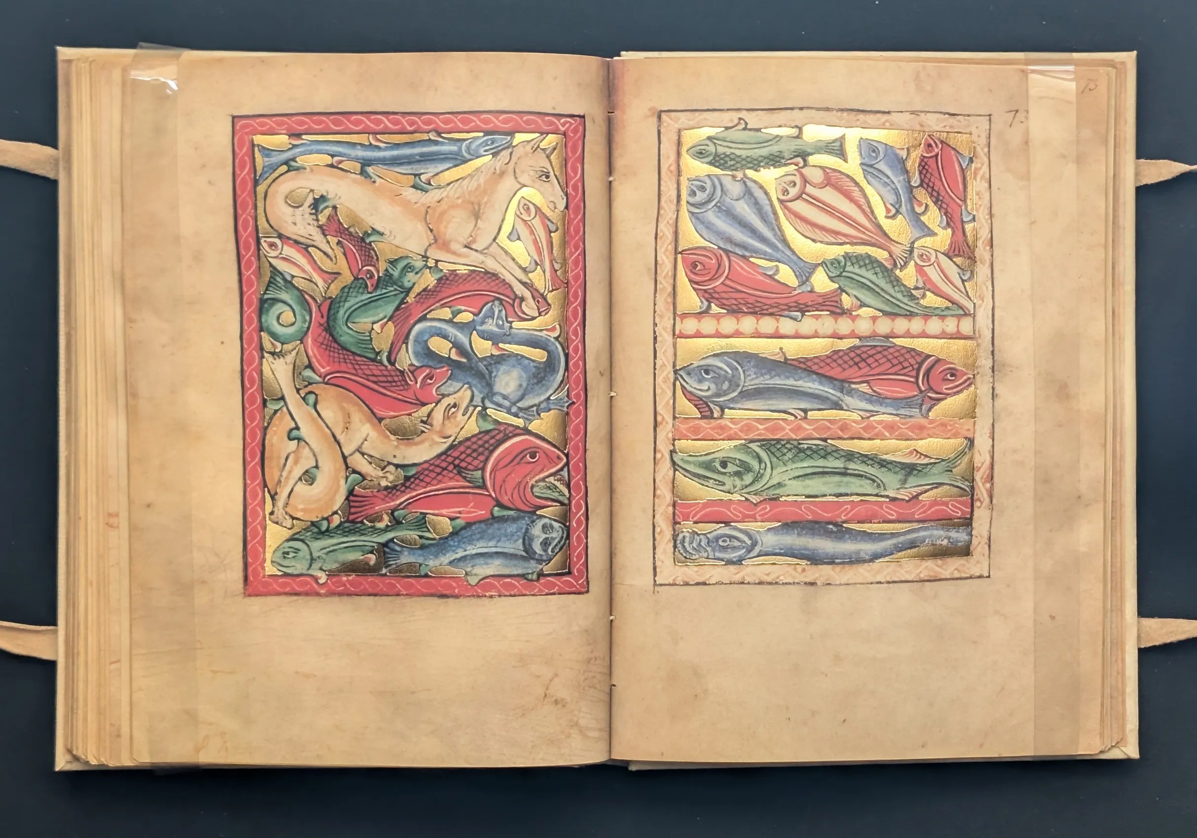 Folios 72v-73 Peces y animales marinos