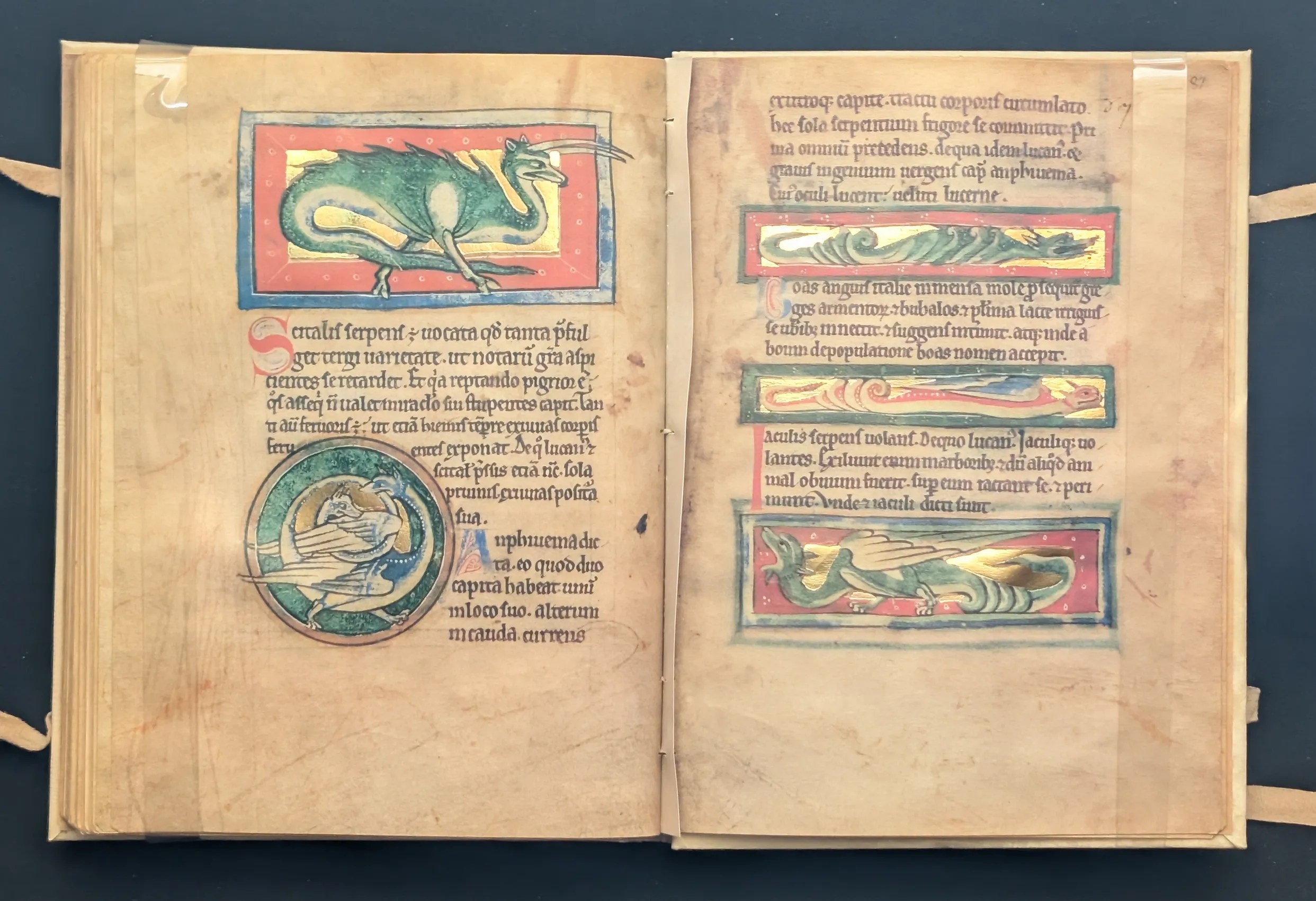 Folio 86v Escitale, folio 86v Anfisbena, folio 87r Boa, folio 87r Jáculo, folio 87r Serpiente sirena