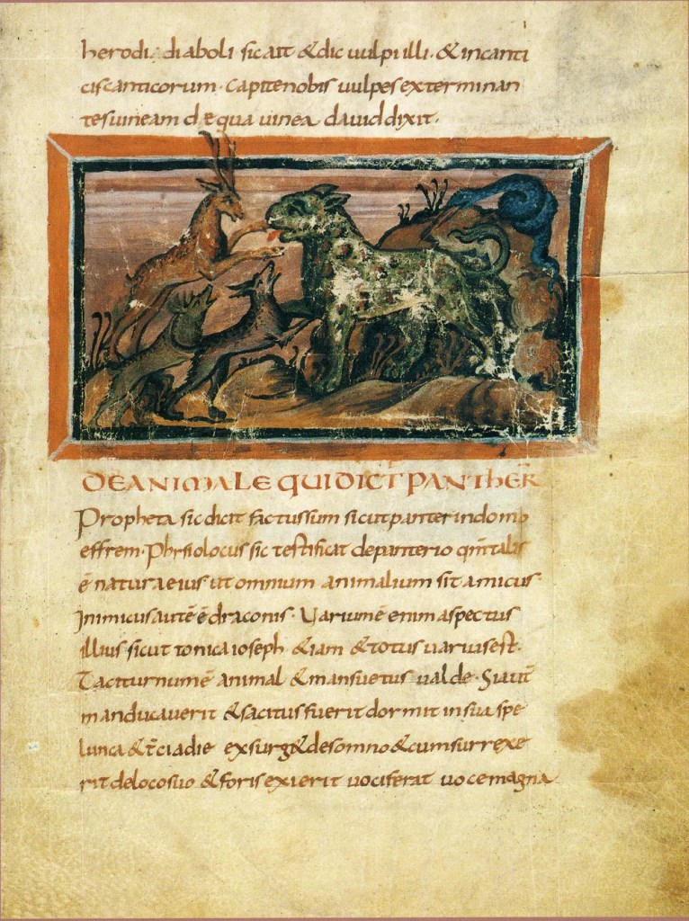 Imagen de una Pantera en el manuscrito iluminado Physiologus de Berne, siglo IX, copia latina del texto griego, producida en la Alta Edad Media (c. 825–850), considerado la versión iluminada más antigua conocida del Physiologus
