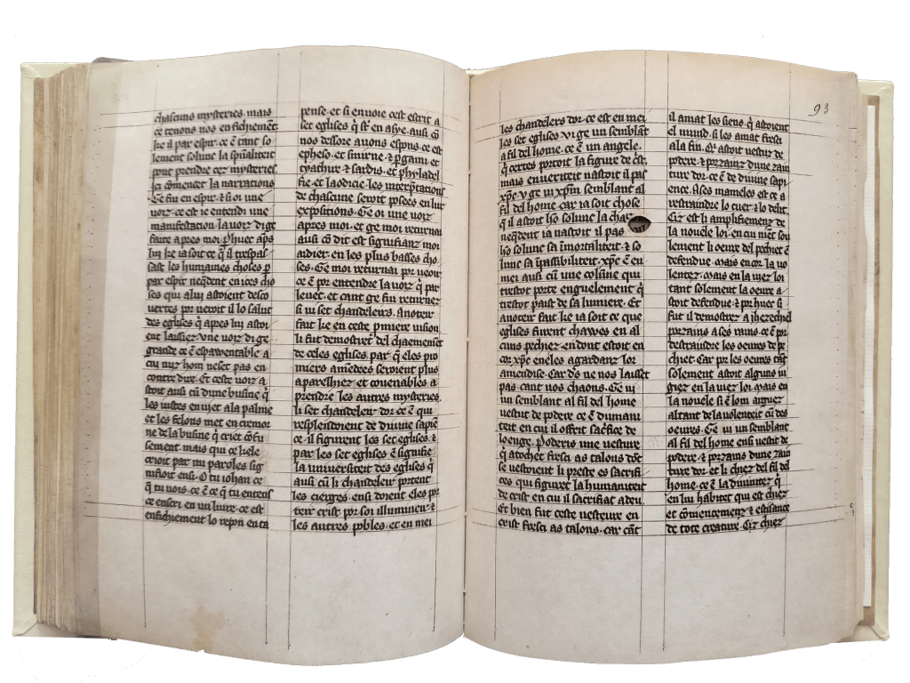 Imagen del Apocalipsis 1313