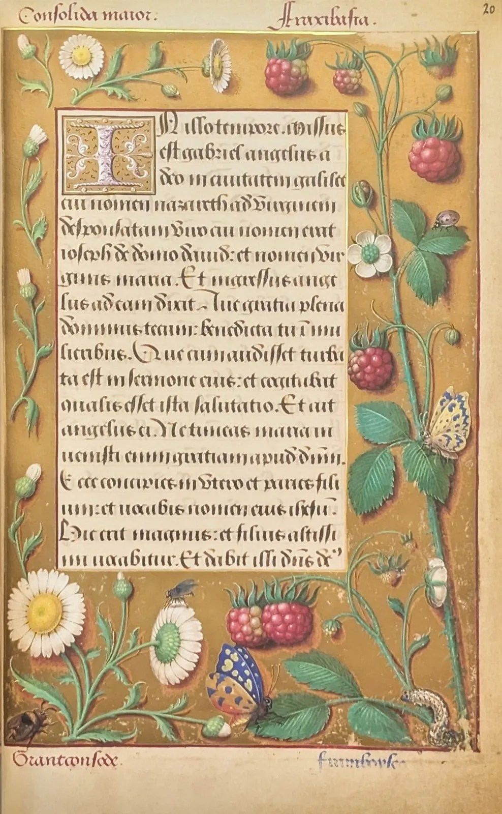 Imagen del libro de las Grandes Horas de Ana de Bretaña, folio 20r: Inicio del Evangelio según san Lucas