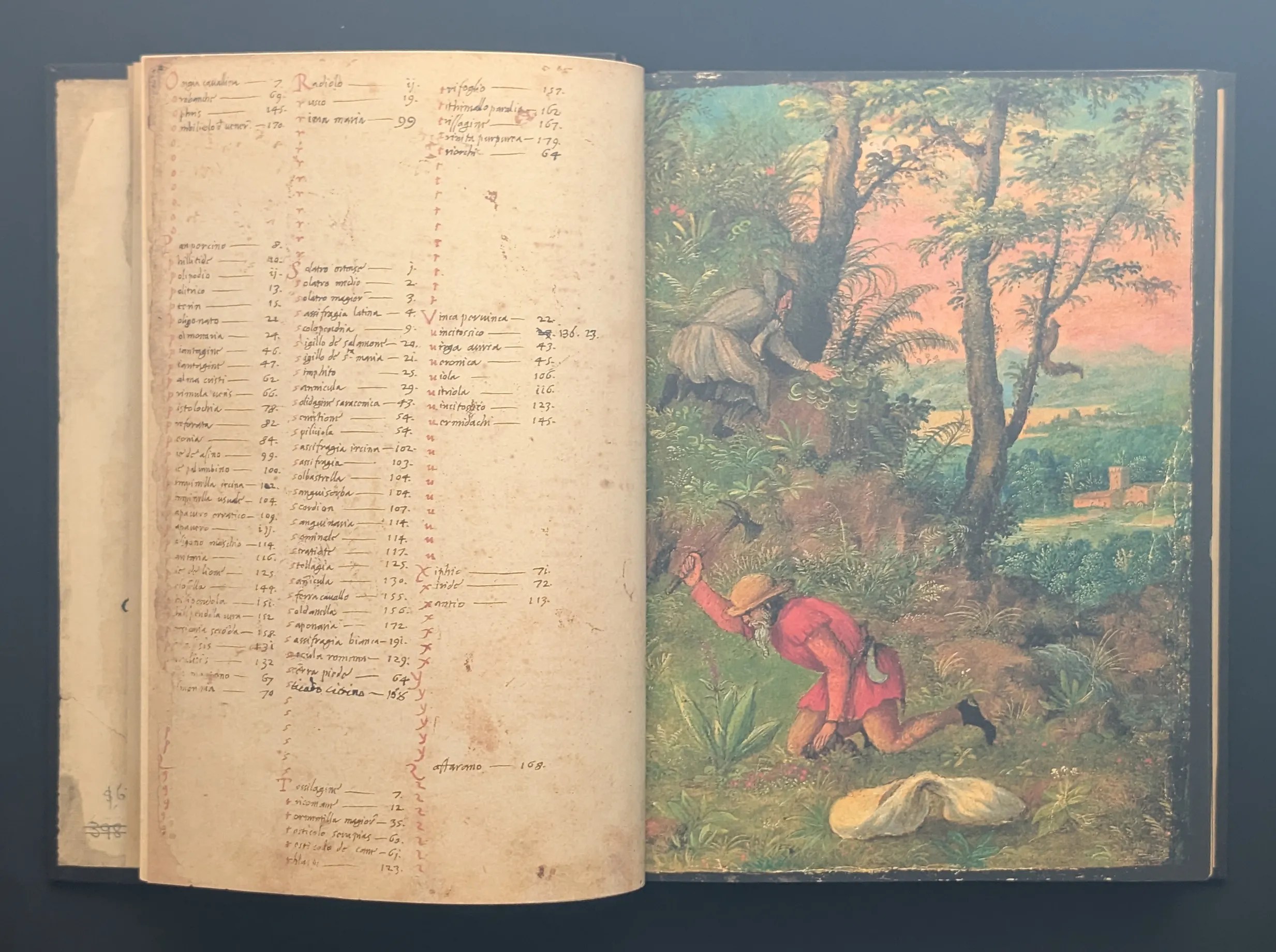 Dioscórides de Cibo y Mattioli folios 2v-3r índice