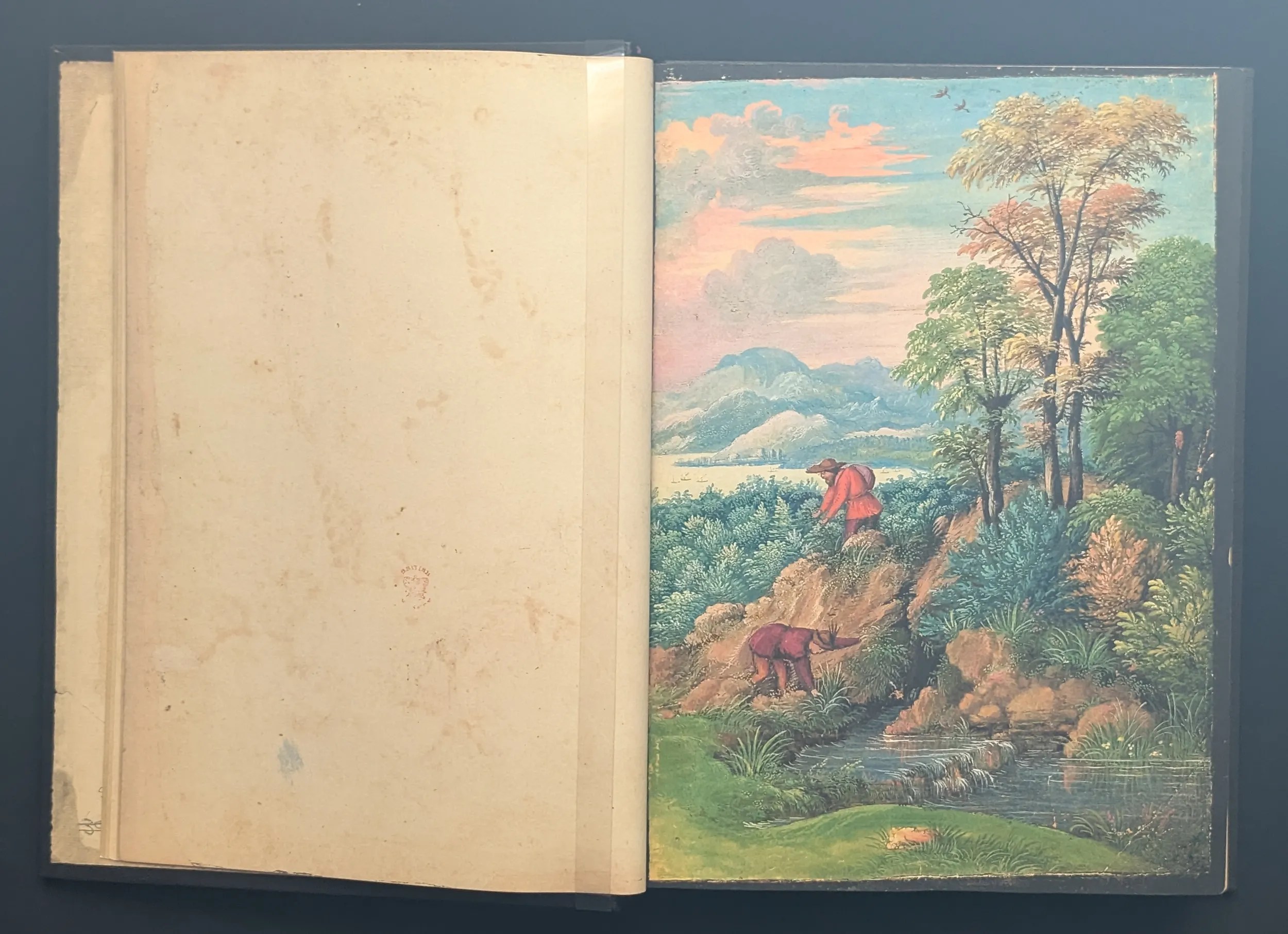 Dioscórides de Cibo y Mattioli folios 3v-4r