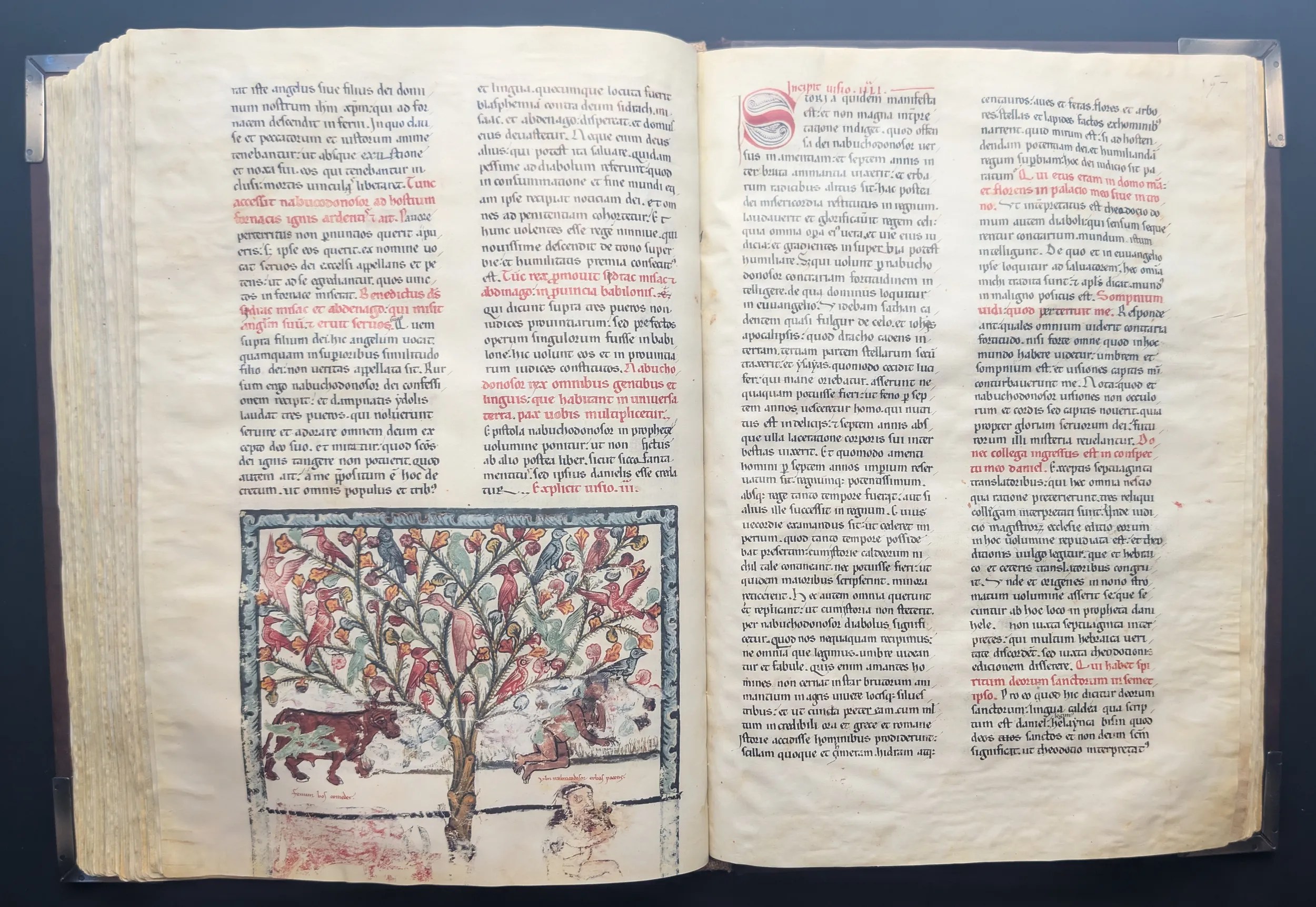 Folio 156v – Nabucodonosor sueña con un Árbol