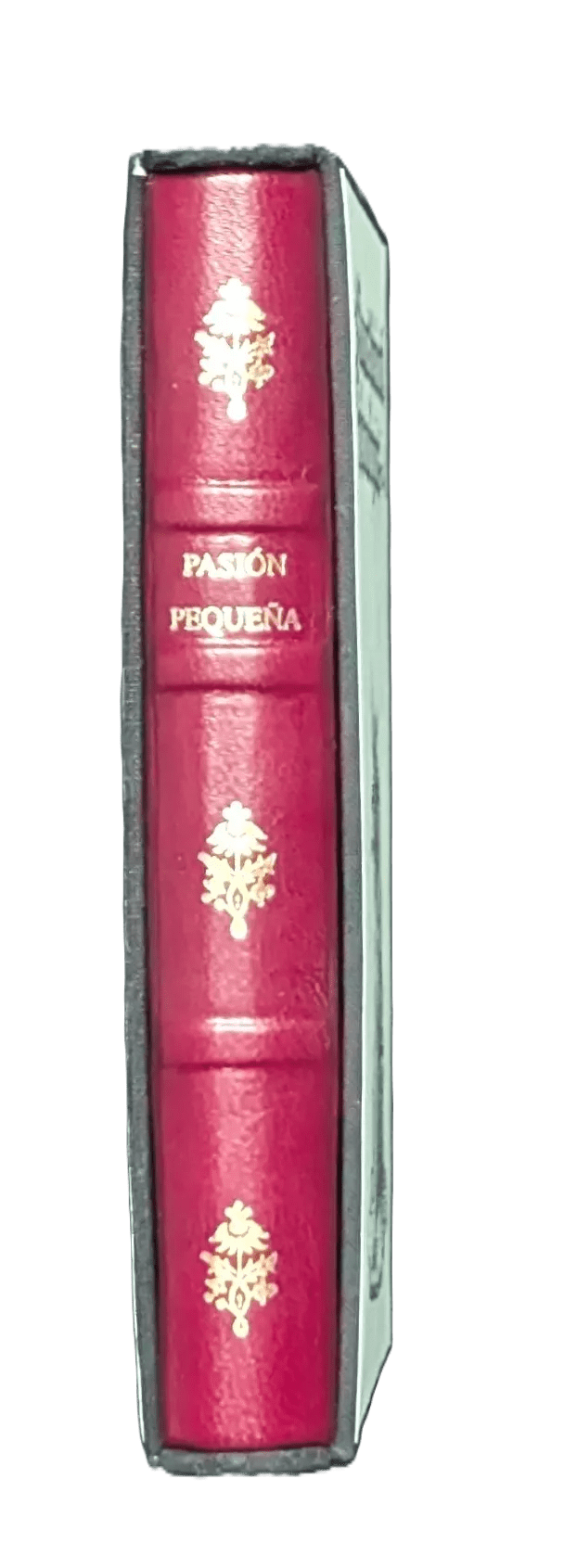 Canto del Facsímil de la Pequeña Pasión de Durero
