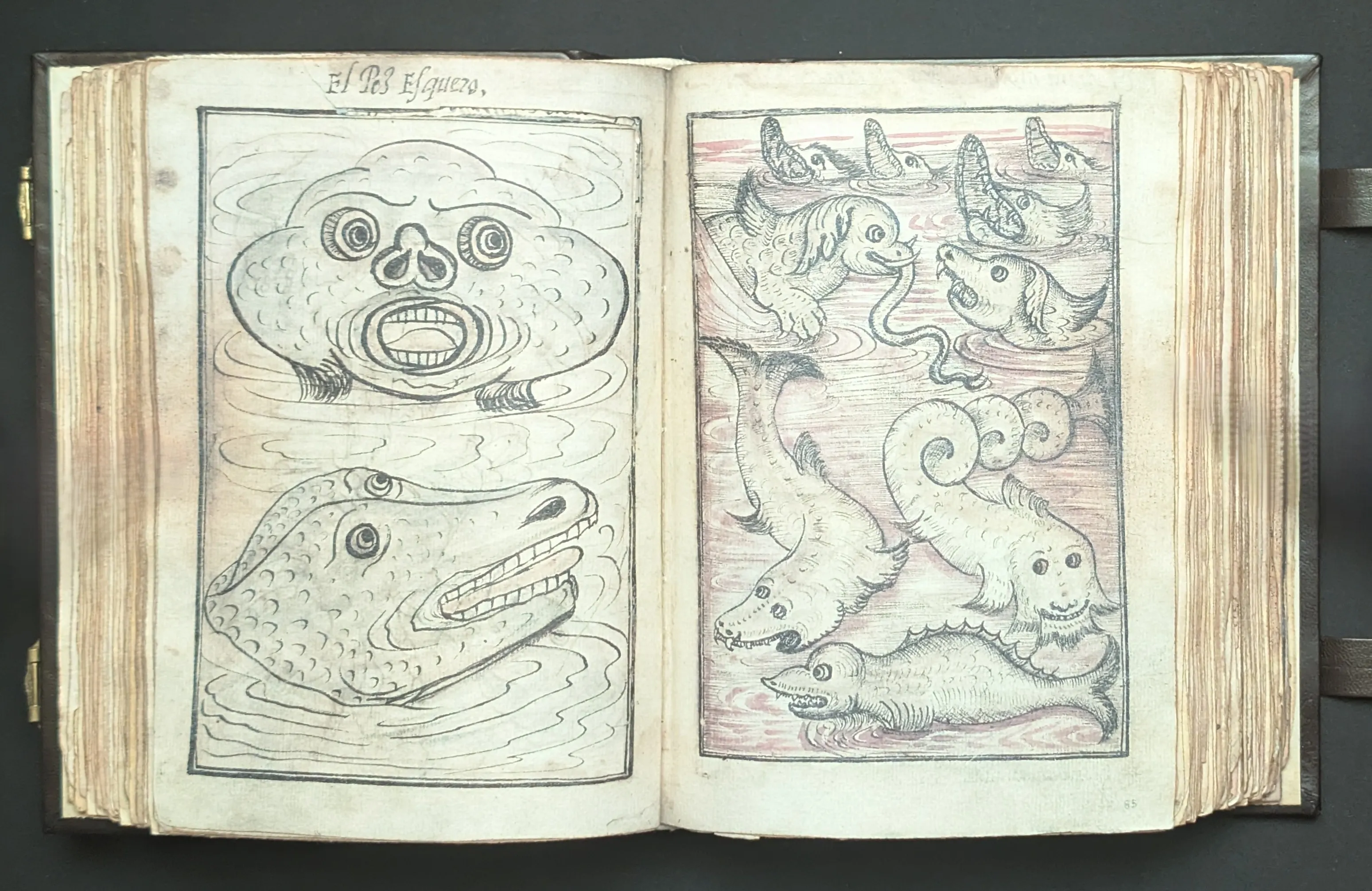 El Bestiario de Don Juan de Austria